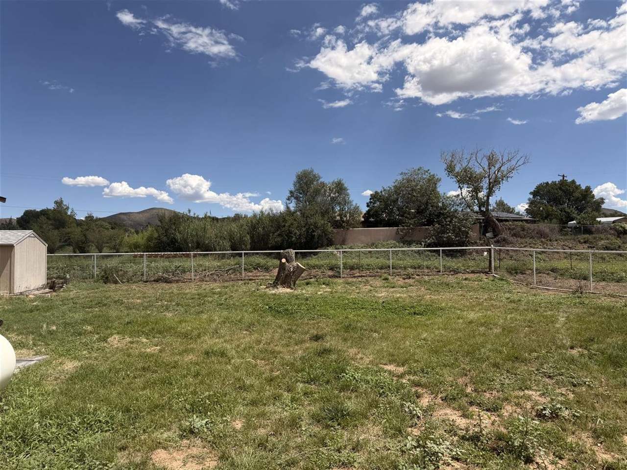 The same rural yard after the dead willow was removed and the stump cut low